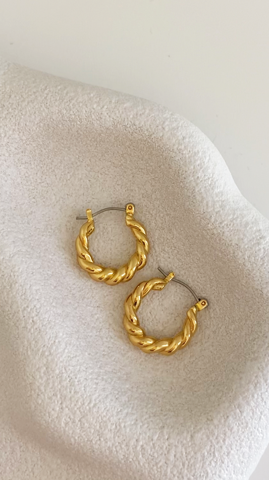 Twisted Earrings